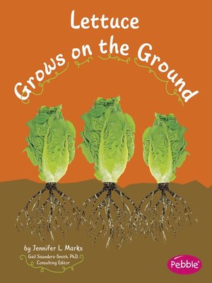 cover image of Lettuce Grows on the Ground